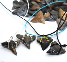 Load image into Gallery viewer, Rare Coloration Shark Fossil Necklace
