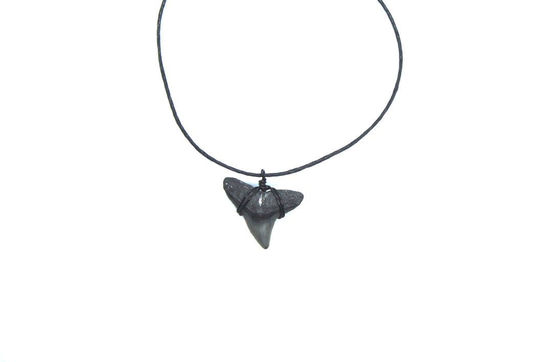 Ethical Shark Fossil Chokers