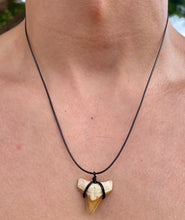 Load image into Gallery viewer, RARE ORANGE Color Shark Tooth Necklace
