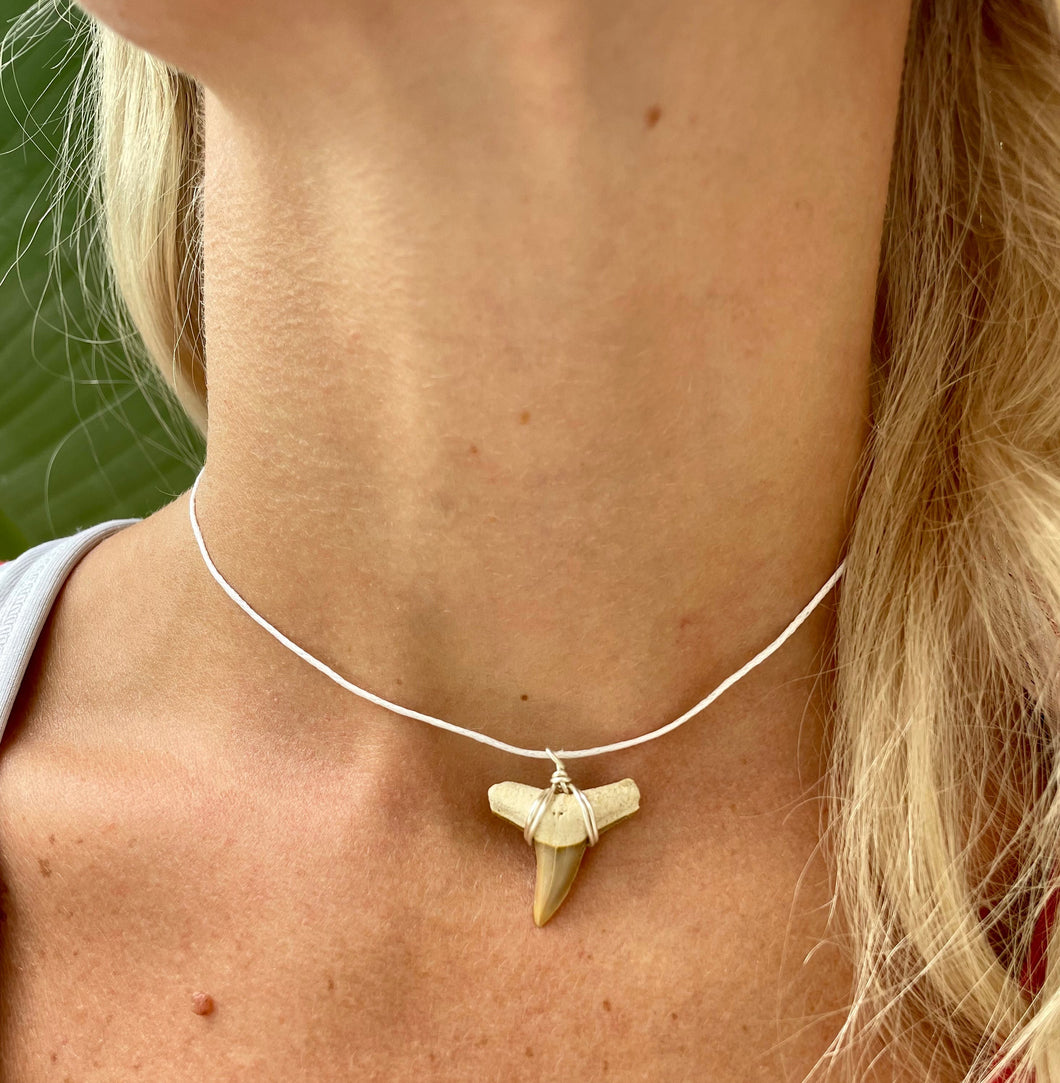 Women's Shark Tooth Necklaces can come in choker length or any other size!