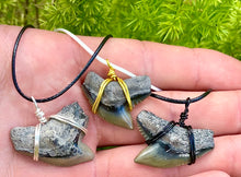 Load image into Gallery viewer, Tiger Shark Fossil Necklace
