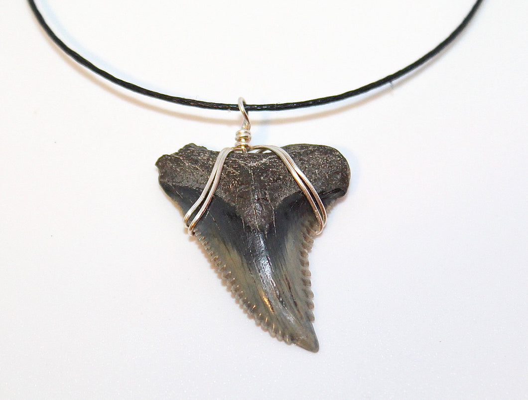 CUSTOM Shark Fossil Necklace: Choose Your Favorite