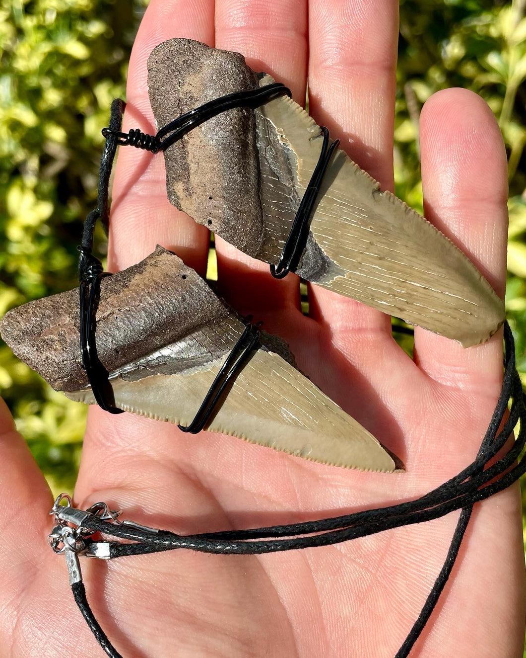 Split Megalodon Tooth Necklace