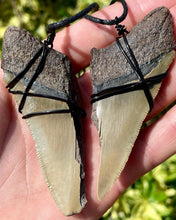 Load image into Gallery viewer, Split Megalodon Tooth Necklace
