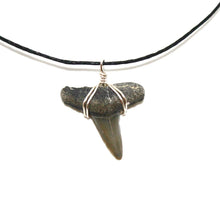 Load image into Gallery viewer, Lemon Shark Necklace
