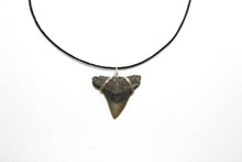 Load image into Gallery viewer, CUSTOM Shark Fossil Necklace: Choose Your Favorite
