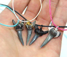 Load image into Gallery viewer, Four options of our shark teeth necklaces.  They are customizable between natural cord colors and wire wrap colors. These sand tiger shark teeth are awesome!
